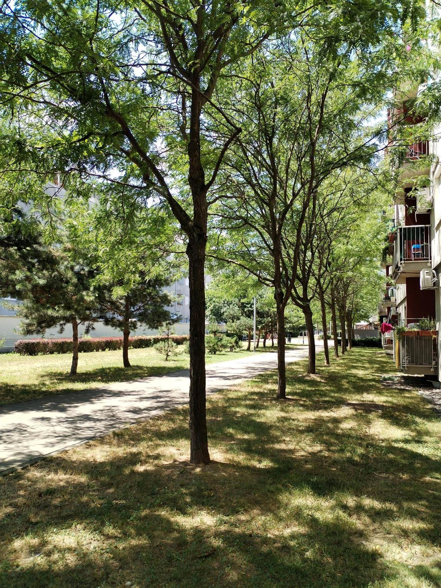 Apartman Ivana Zagreb